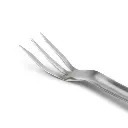 PRO Tridente cm.43 REBBI .webp