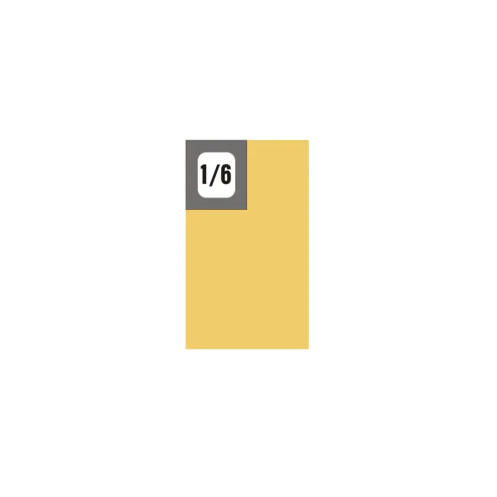 disegno GIN 1.6.webp