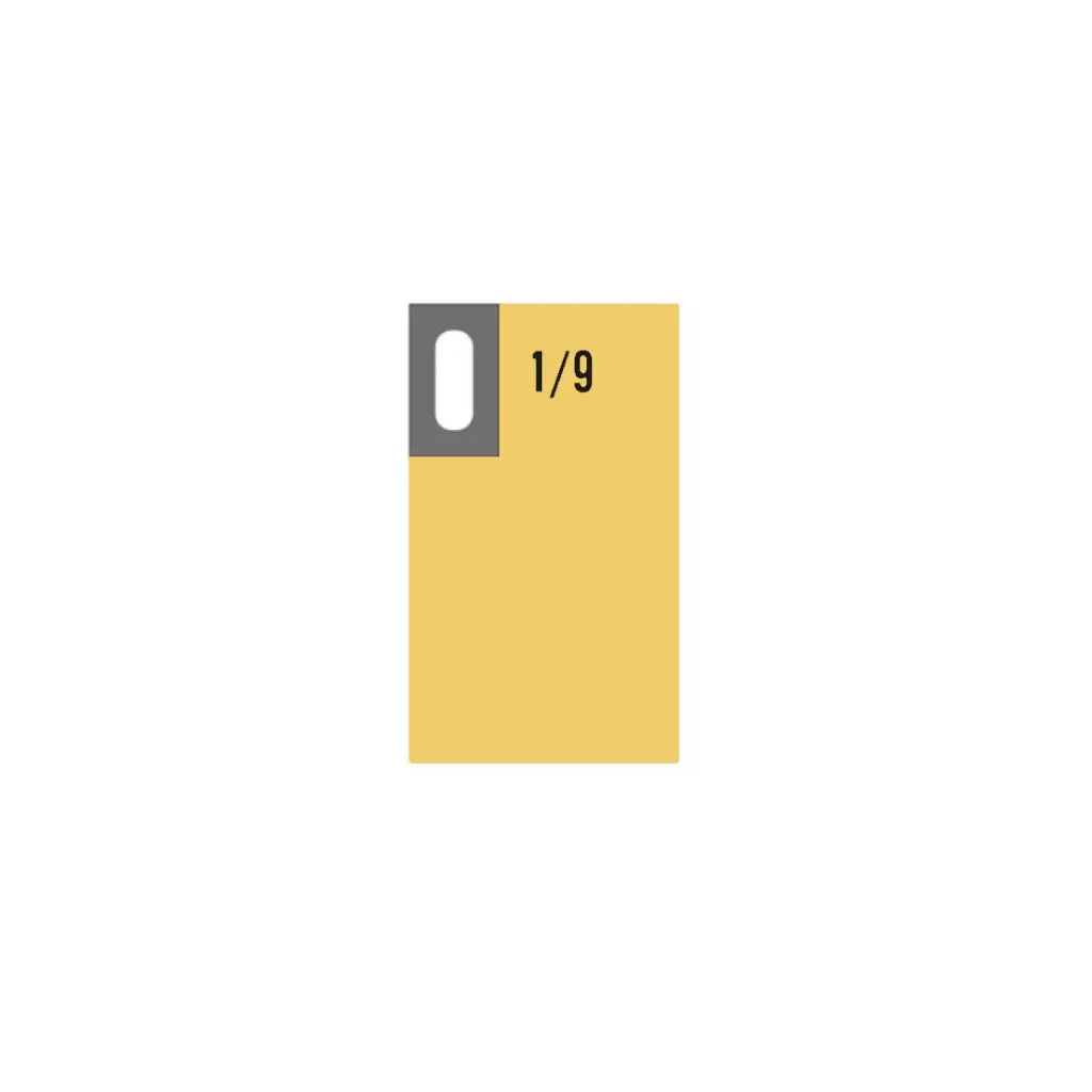 disegno GIN 1.9.webp
